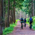 3 activités de VTT à pratiquer en montagne