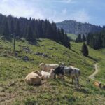 Savourez l’été à La Clusaz
